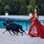 artist image Cardi B feat. Messiah Bodak Yellow (feat. Messiah) Bodak Yellow (feat. Messiah) [Latin Trap Remix] - Single