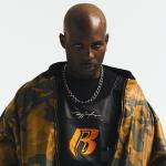 artist image DMX Party Up (Up in Here) Party Up (Up in Here) - DARKO Remix - Single