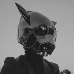 artist image Anima Earth Earth - Single