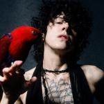 artist image LP Churches Churches