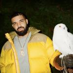 artist image Drake Down Hill Honestly, Nevermind