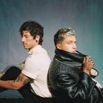 artist image twenty one pilots Truce Vessel