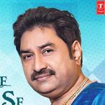 artist image Kumar Sanu & Alka Yagnik Dil Chura Le (From "Dil Ka Rishta") Dil Ka Rishta (Jhankar) [Original Motion Picture Soundtrack]