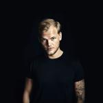 artist image Tim Berg (Avicii) Ley Me Down True
