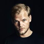 artist image Avicii & Sebastien Drums My Feeling For You 
