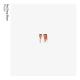 Pet Shop Boys - In the Night