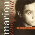 album image Unbreak My Heart Pleasure