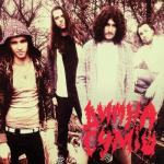 album image Димна Суміш - Кожної весни (перевірено myRadio.com.ua) Димна суміш