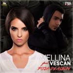 album image Poza de Album (Official Single) Poza de Album (feat. Vescan) - Single