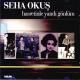 SEHA OKUS - HASRETINLE YANDI GONLUM