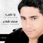 album image Ya Ghayeb (In sa Allah) يا غايب - Single