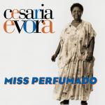 album image Sodade Miss Perfumado