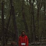 album image Night Lovell - Still Cold / M4 Performance (Prod. Dylan Brady) Red Teenage Melody