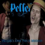 album image Hands Up! (One Piece Opening 16) PelleK's One Piece Medley