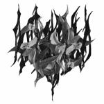 album image Limerence When Man Fails You