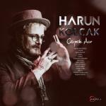 album image Vermem Seni Ellere (ft. Hakan Kahraman) Çeyrek Asır
