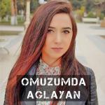 album image Nigar Muharrem ft Sadiq Haji - Hesret Negmesi 2017