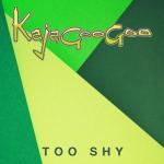 album image Too Shy Too Shy - EP