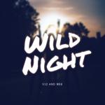 album image Wild Night (When we first met) Wild Night - Single