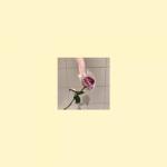album image Solo For So Long Love Wounds
