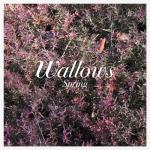 album image These Days Spring - EP