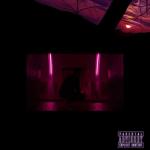 album image I Dont Give a Fuck Our Remedy