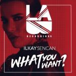 album image What You Want What You Want - Single