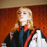 album image desert rose // slowed + reverb High Highs to Low Lows