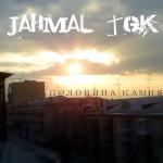 album image Сальто назад Половина камня