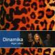 Dinamika - Ieškok Manęs