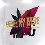 album image You Don't Wanna Play With Us Feel My Vibe