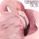Christopher Cross - Words of Wisdom
