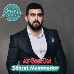 album image Olsun Olsun 2018