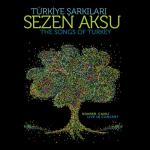 album image Git / Geri Dön / Beni Unutma Türkiye Şarkıları (Canlı)