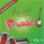 album image Año Nuevo Grandes Éxitos Vol. 4