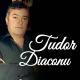 Tudor Diaconu - Nepotel