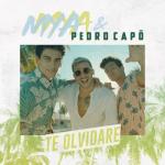 album image Te Olvidaré (2019) Te Olvidaré - Single