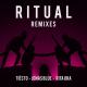 Tiësto & Jonas Blue feat. Rita Ora - Ritual (Jonas Aden Extended Remix)