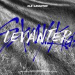 album image Double Knot Clé : LEVANTER