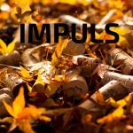 album image Mana Hora Vizitiu (Impuls Remix) Cantece De Petrecere Si Muzica Lautareasca