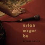 album image Uslanmıyor Bu Uslanmıyor Bu - Single