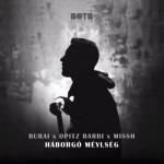 album image Háborgó mélység Háborgó mélység (feat. Opitz Barbi & Missh) - Single