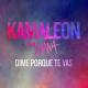 Kamaleon feat. Lyana - Dime Porque Te Vas