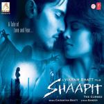 album image Hayaati Ye Hayaati Kehati Shaapit (Original Motion Picture Soundtrack)