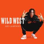album image Day in the Life Wild West