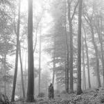 album image cardigan folklore