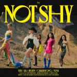 album image Don’t Give A What Not Shy - EP