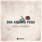 album image Розы на морозе Она любила розы - Single