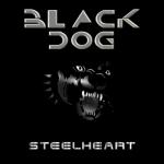 album image Black Dog (Led Zeppelin cover) BLACK DOG - Single