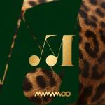 album image AYA TRAVEL - EP